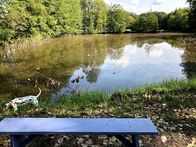 Camping naturiste Les étangs de Saint Pancras