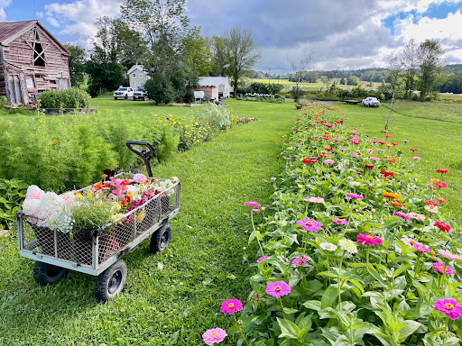 Sweet Dahlia Farm & Florals