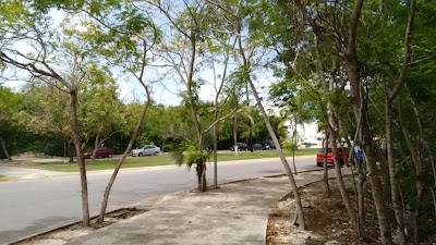 Photos of Dolphin Center and Dtraveller