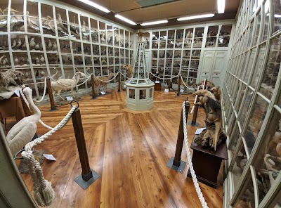 Museo Civico Craveri di Storia Naturale