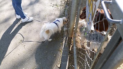 Photos of Parc Liotard