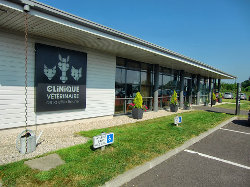 Veterinary Clinic of the Côte Fleurie Logo