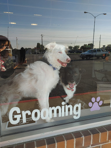 Poof Pets - Thumbnail