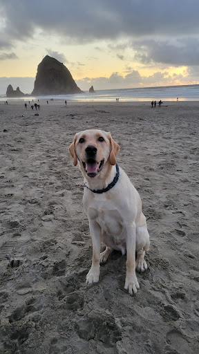 North Coast Pet Clinic - Thumbnail