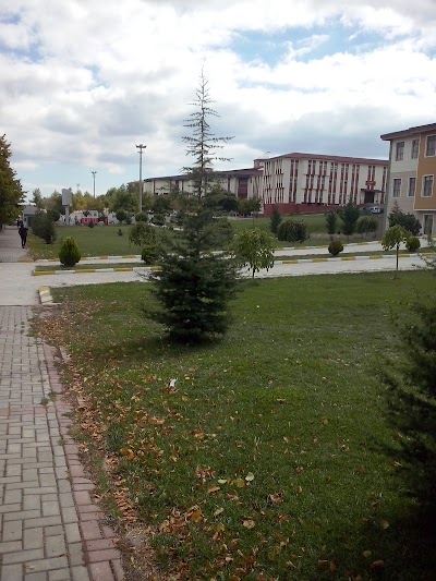 Kütahya Dumlupınar Üniversitesi İİBF (İşletme)