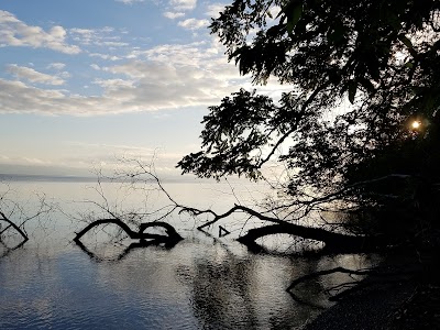 Photos of The Whale Resort