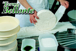 Photo n°35 de Ferme Bellonte à Saint-Nectaire (Éleveur)