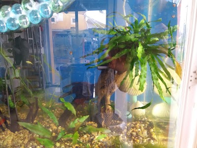 Photos of AQUARIUM DELUX