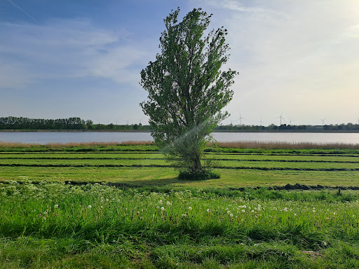Kampen - Visual
