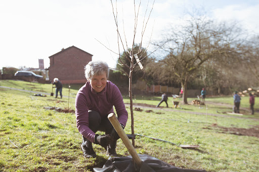 Crosstown Community Orchard Gallery - United Kingdom