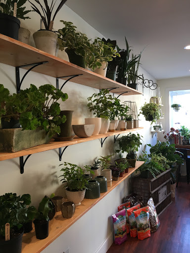Gather Flower Shop - Thumbnail