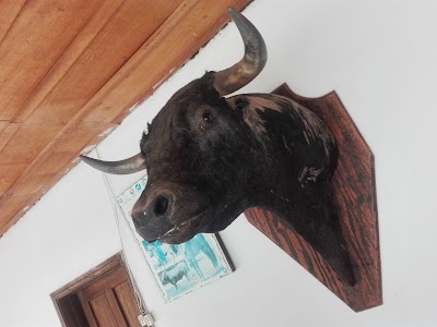 Photos of Museo Finca Pepe C&aacute;ceres