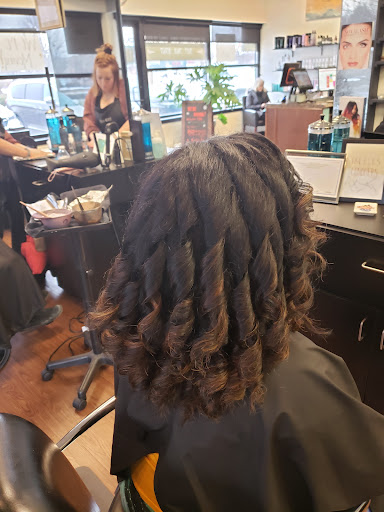 Fluid Salon
