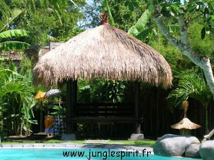 Photo n°16 de Jungle Spirit à Sanary-sur-Mer (Constructeur d'abris de jardin)