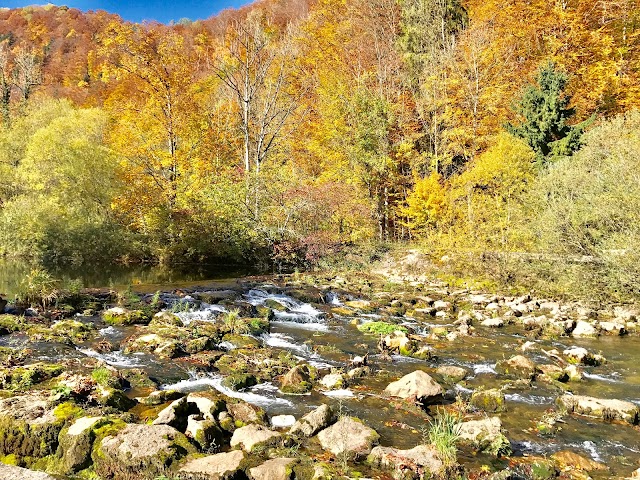 Gorges de L'Areuse