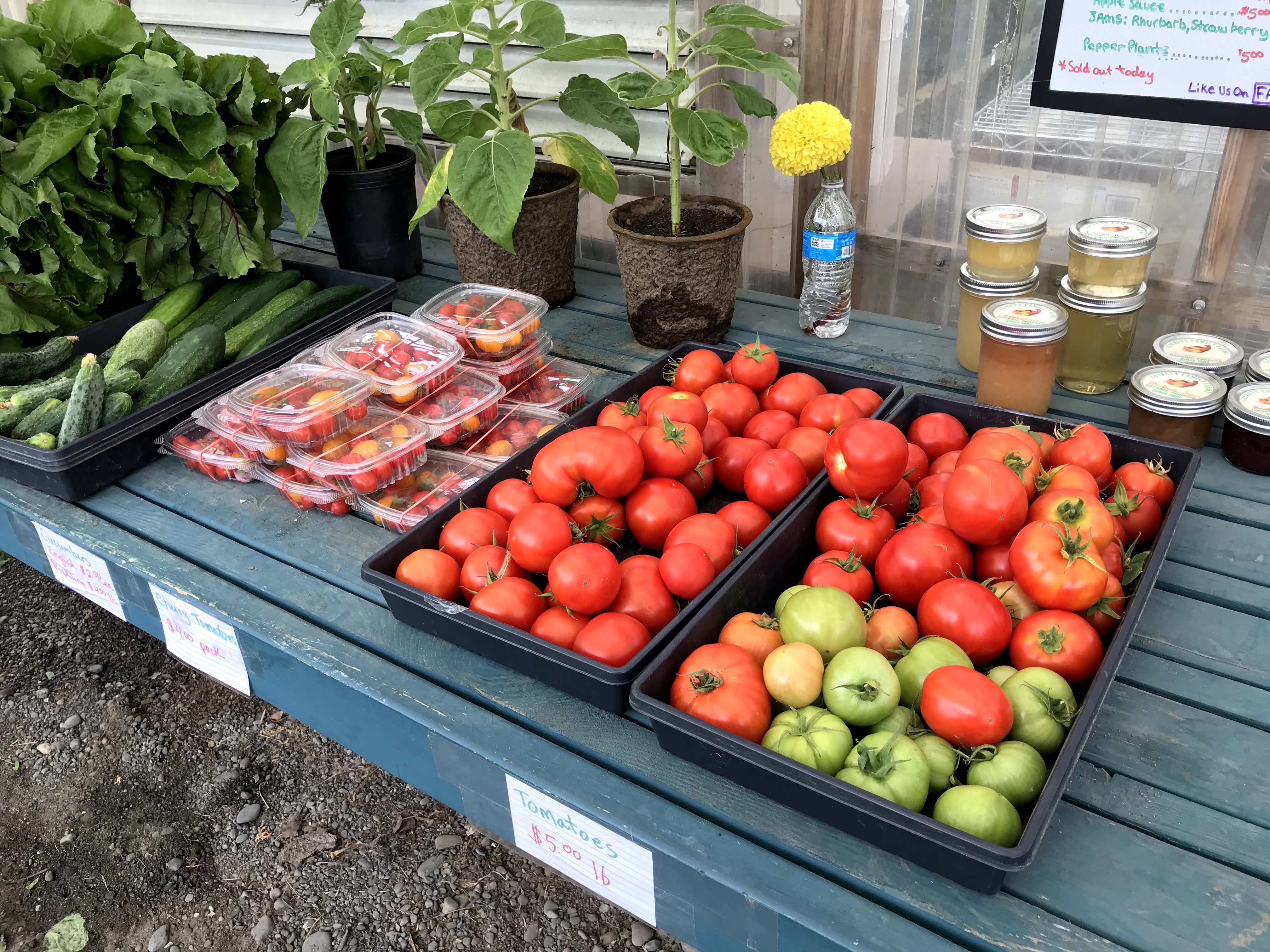Sackett Family Farms