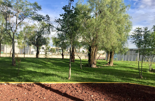 Area verde pet friendly La Antigua Cementera - Thumbnail