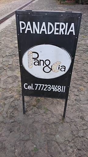 Panaticos - Visual