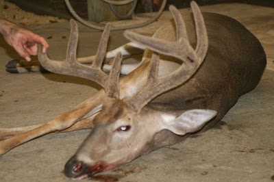 Photos of Cedar Knoll Hunting Lodge