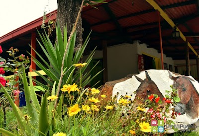 Photos of Estadero Los Arrieros