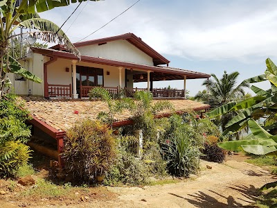 Photos of Hotel Mahena