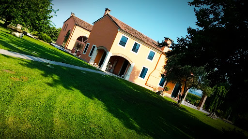Borghettini Igor - Visual