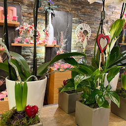 Photo n°31 de Ripoche Fleurs à Beaupréau-en-Mauges (Livraison de fleurs)