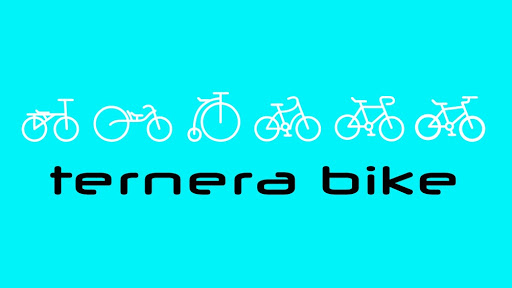 TERNERABIKE - Visual