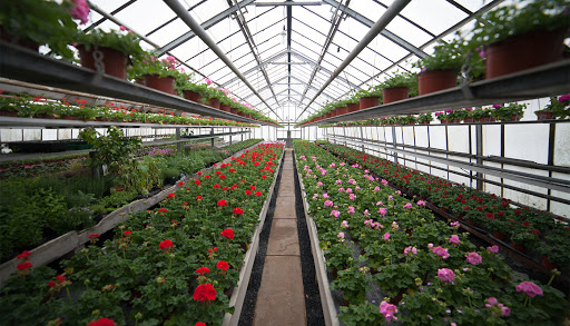 Gärtnerei & Blumenstübchen – Spieß Gallery - Germany