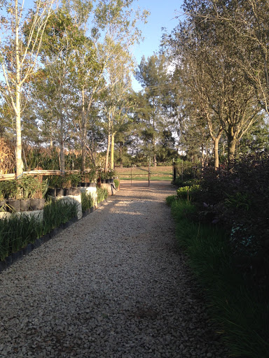 jardin-es arte al natural nextipac