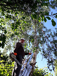 Photo n°3 de Pierdon Maxime à Bouguenais (Entrepreneur spécialisé en aménagement aquatique)