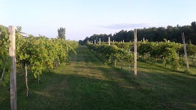 Vesco Ridge Vineyards