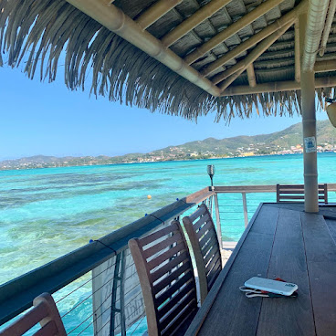 Tropical Tiki Tours by null