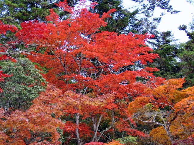 紅葉谷公園