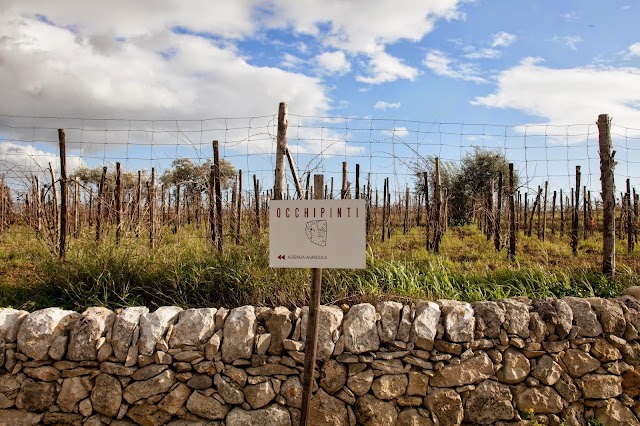 Azienda Agricola Arianna Occhipinti