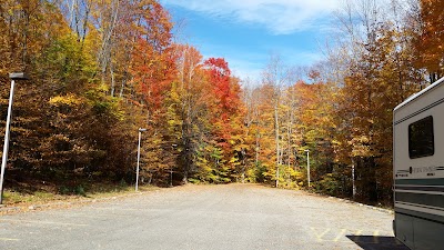 Photos of Hartwick Pines State Park