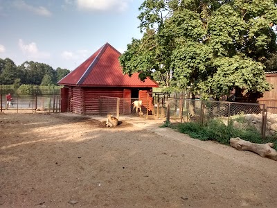 Photos of Minsk Zoo