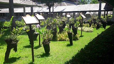 Photos of Iberostar casino