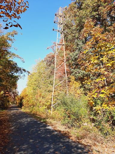 Bushkill Township Trail Gallery - United States