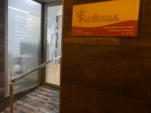 Gallomur Gallery - Spain