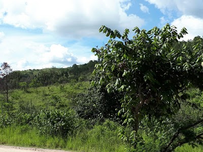 Photos of Residencial Hacienda Santa Clara