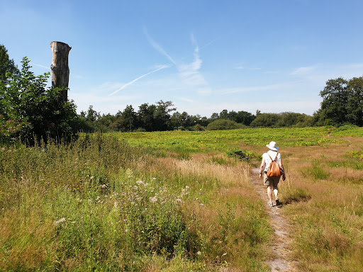 Hunenborg - Thumbnail