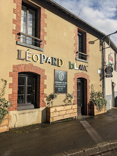 Léopard Blanc - Visual