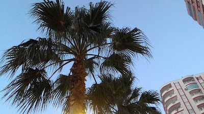 Photos of adana kalinos balık