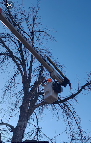 John Waynes Tree Service