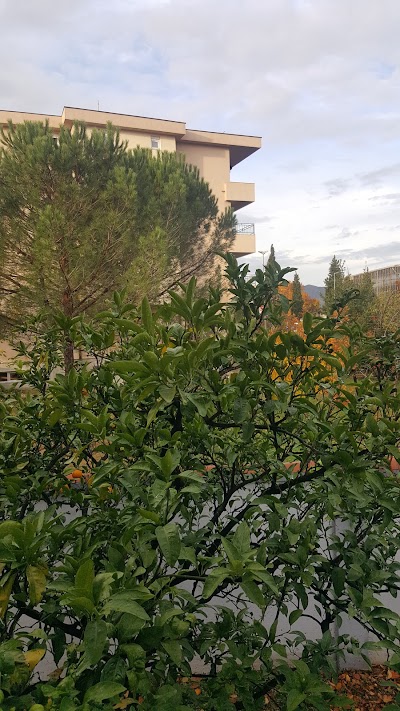 Photos of Hotel Ambiente