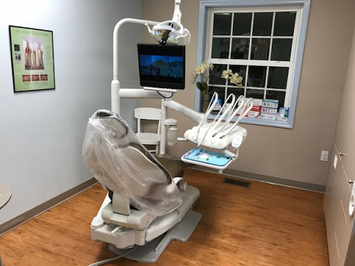 Lisa A. Fagioletti, D.M.D.