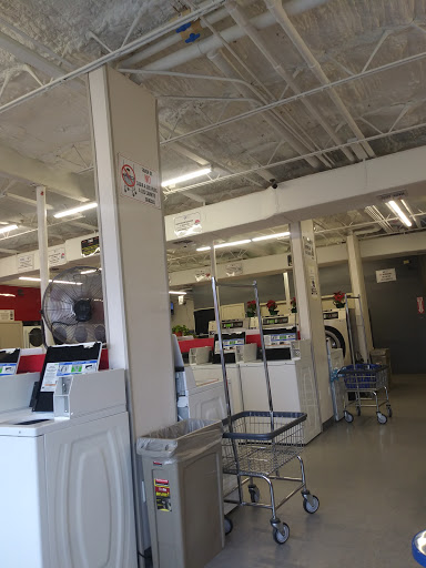 Genesis Laundries - Visual