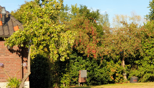 Boerderijcamping Het Boltsebroek - Thumbnail
