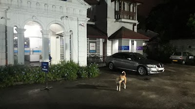 Photos of Commercial Bank Reid Avenue Branch